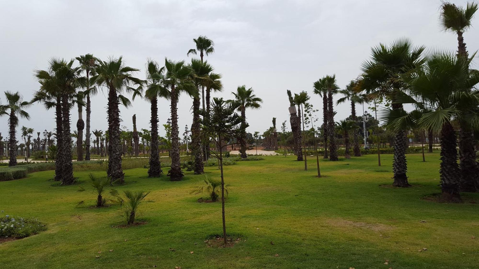 Appartement Agreable Avec 2 Tres Belles Terrasses Au Coeur De Rabat Exterior photo